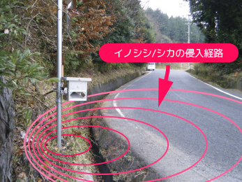 道路からの侵入を防ぐ