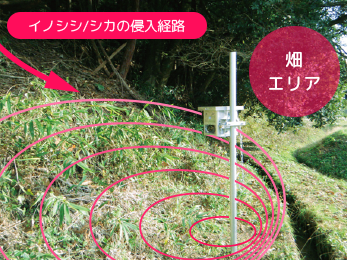 山からの侵入を防ぐ