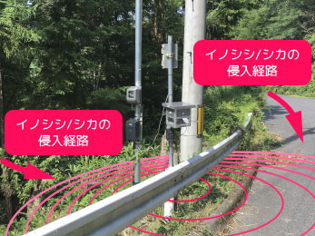 集落での使用例