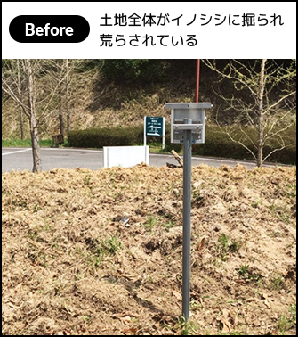 国立公園 before写真