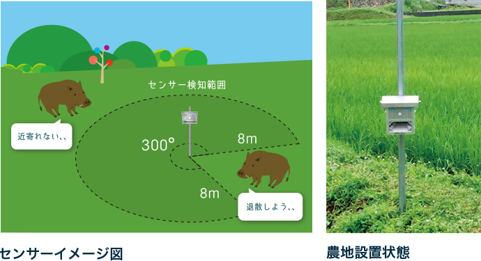 センターイメージ図・農地設置状態